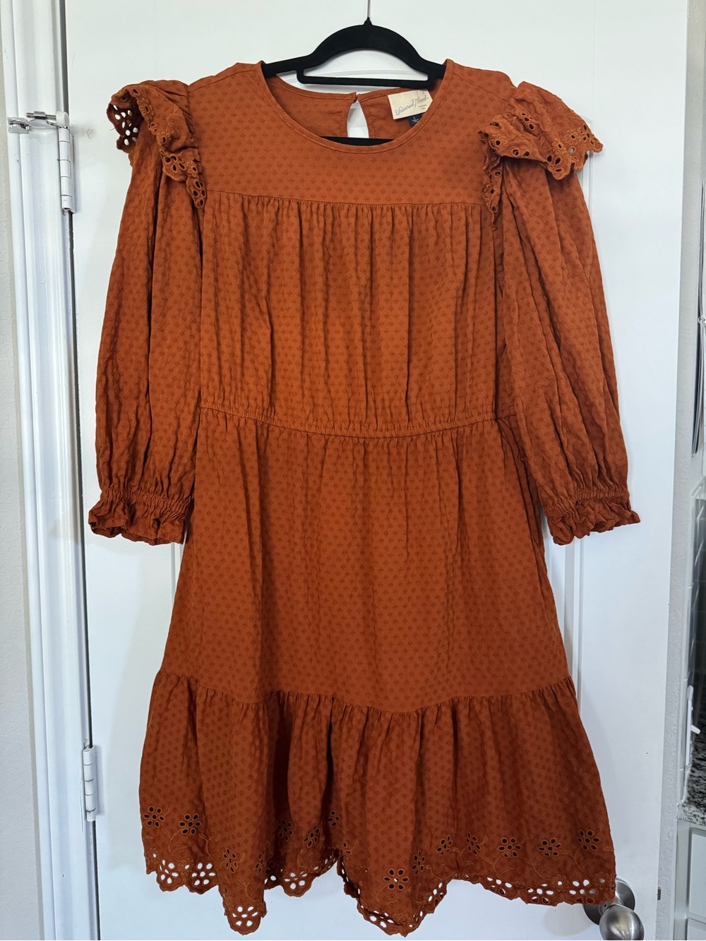 Universal Thread Rust Cotton Rayon A-Line Dress Eyelet Ruffle Puff Sleeve L